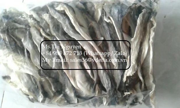 Manufacturer fish skin / dried - snack - fried ( crispy ) of pangasius fish skin - salmon fish skin very cheap from Viet nam