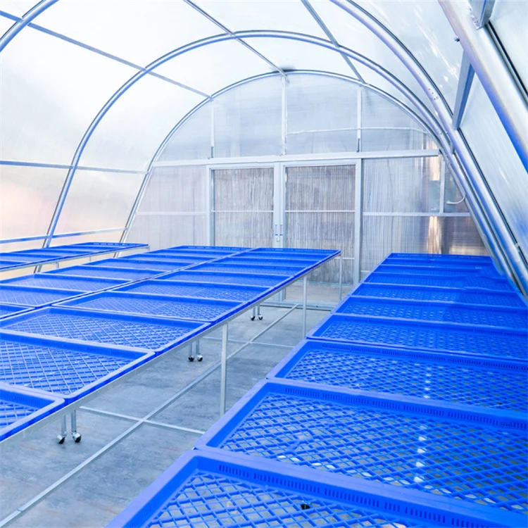 Drying chilli solar dry greenhouse for vegetables and fruits