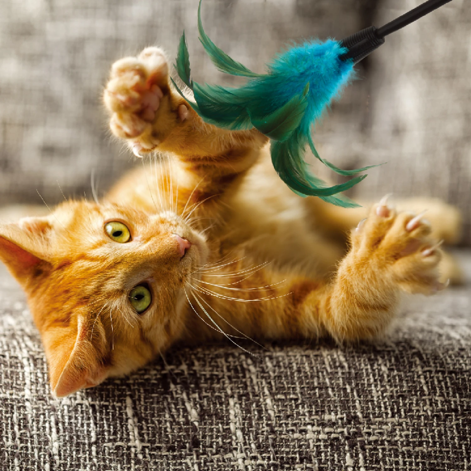 Hotselling Cat Stick Toys Soft Feather Cat Toys Interactive Cat Toy with TPR handle