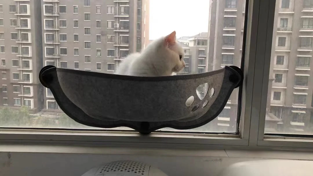 premium felt indoor pet house felt Modern Cat Dog cone cave small pet Bed Condo Collapsible Travel Bed for Cat dog