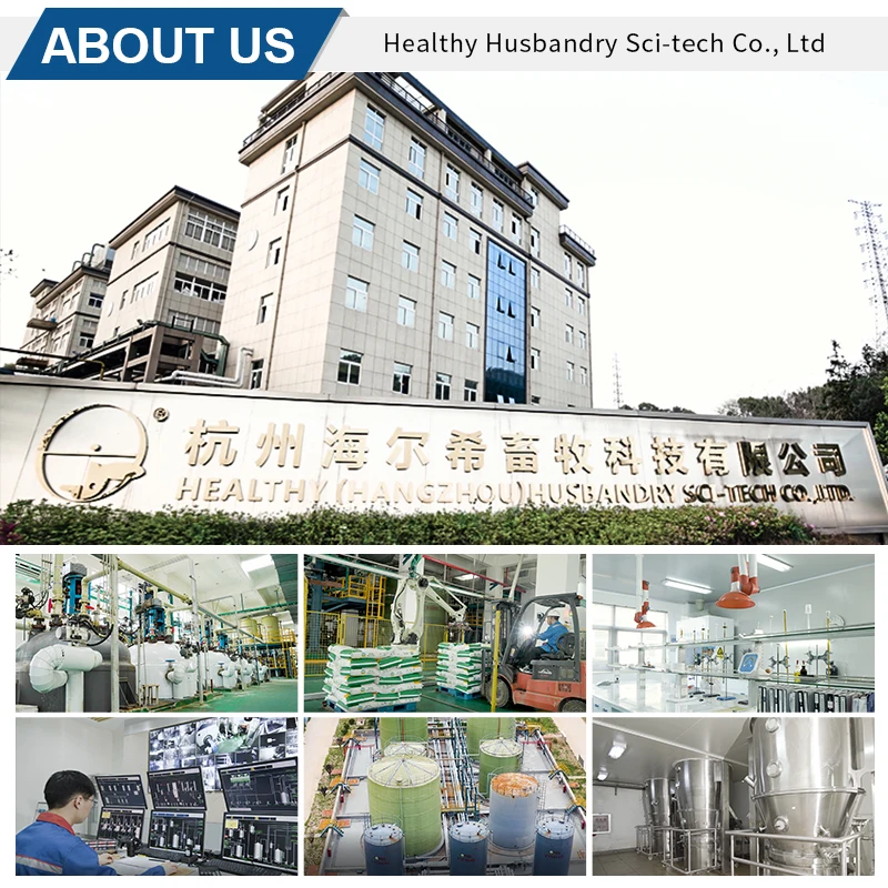 Wholesale Supple Amino Acid Broiler Growth Promoter 50% 98% L-Carninine Feed Grade Weight Gain Nutritional Feed Additive