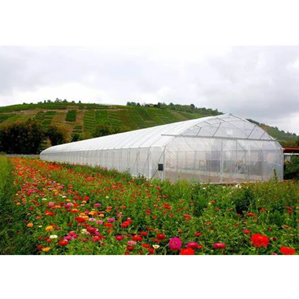 Single-span Greenhouses Agriculture Greenhouse For Planting