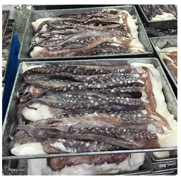 Peru Origin Factory price Export Thailand Frozen Giant Squid Tentacles