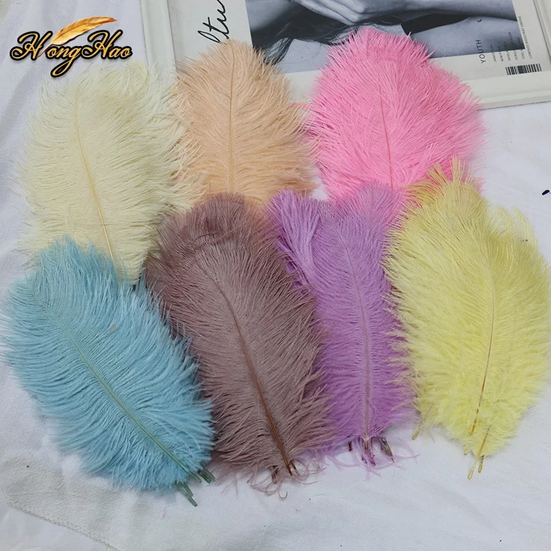 High Quality 20-25cm Ostrich Feathers Dye-Able Wedding Fans with Lace Trim Millinery Craft Supplies for Fly Tying