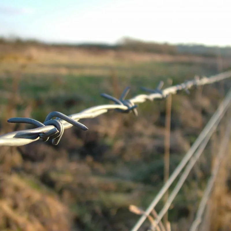 Shuairunxin Galvanized Twisted Barbed Wire Fence Wire for Security Alambre De Pua to Brazil for Farm and Sport Fencing and Wall