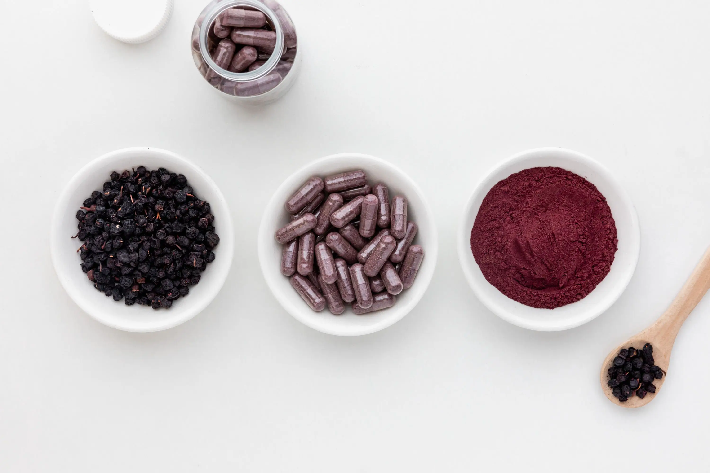 bilberry extract powder 25% 36%