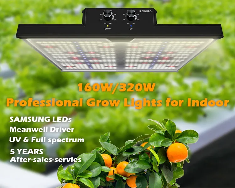 Eu Ru Stock Led Grow Light Kits High Ppfd Panel 660nm Full Spectrum 320w Led Grow Light