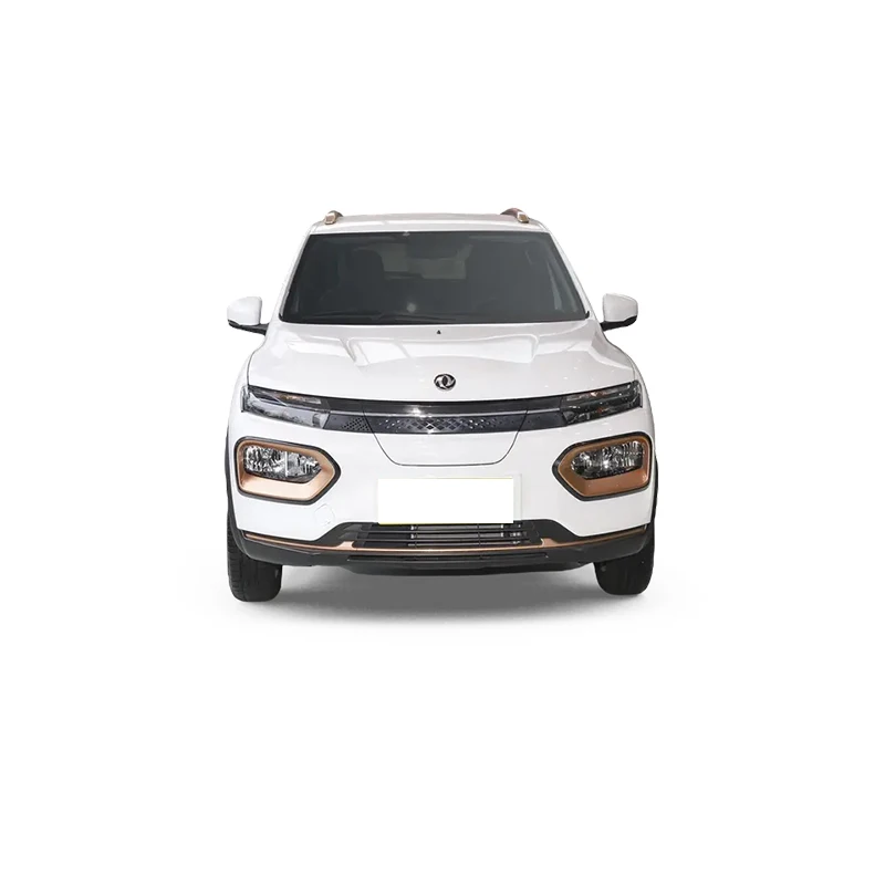 Купите хорошо принятый 5-дверный 4-местный внедорожник Dongfeng Nano Box Ev Auto Long Range 201 км 2023 2024 Carros Электрический Adultos
