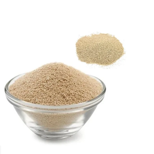 China Active Dry Yeast high sugar low sugar yeast dry  suitable for the production of a variety of bread recipes