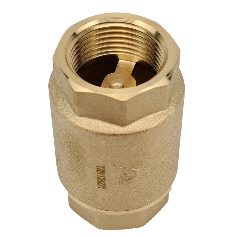 H01 Brass Vertical Check Valve Spring Swing Flap Check Valve Thread Connection