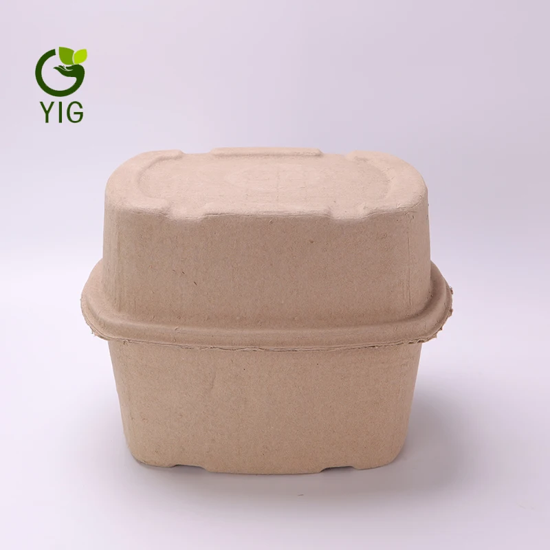 
Gleepulp Paper Molded Pulp Trays 