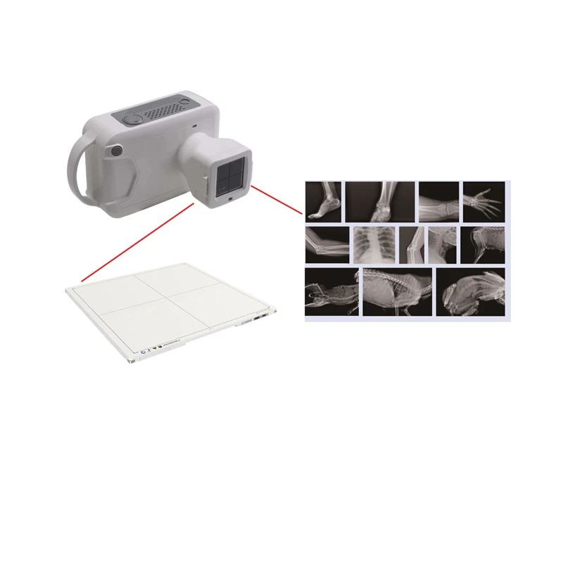 Hospital Clinic Use Mobile Portable Digital X Ray Scan Digital Xray System Animals Portable X Ray Build-in Computer System X-Ray