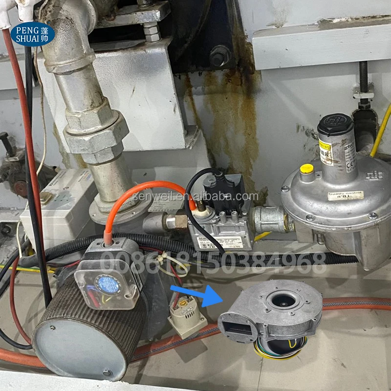 RG-148 230V FL148029D-01D Condensing Gas Boiler Spare Parts Iron Electric Furnace and Dryer Cooking Components 230V