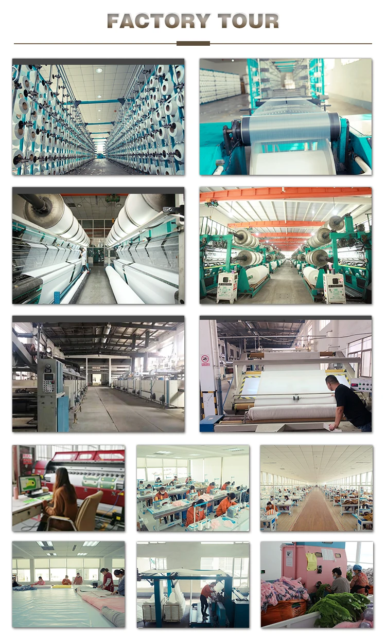 
2021 New Design High Quality Stuffed Animal Pegasus Cute Horse Unicorn Animal Plush Unicorn Toys 