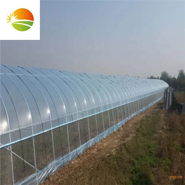 High quality cheap price greenhouse farm for tomato growing .