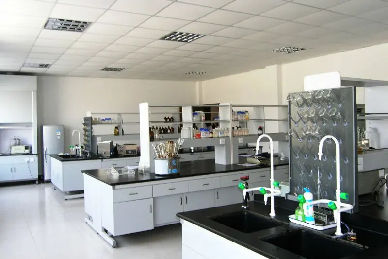 Wholesale Factory Supply Best Price Nature Reishi Mushrooms Dried Reishi Powder Mushroom