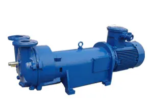 Вакуумный насос с жидкостным кольцом серии 2BV Monoblock для вакуумной упаковки
