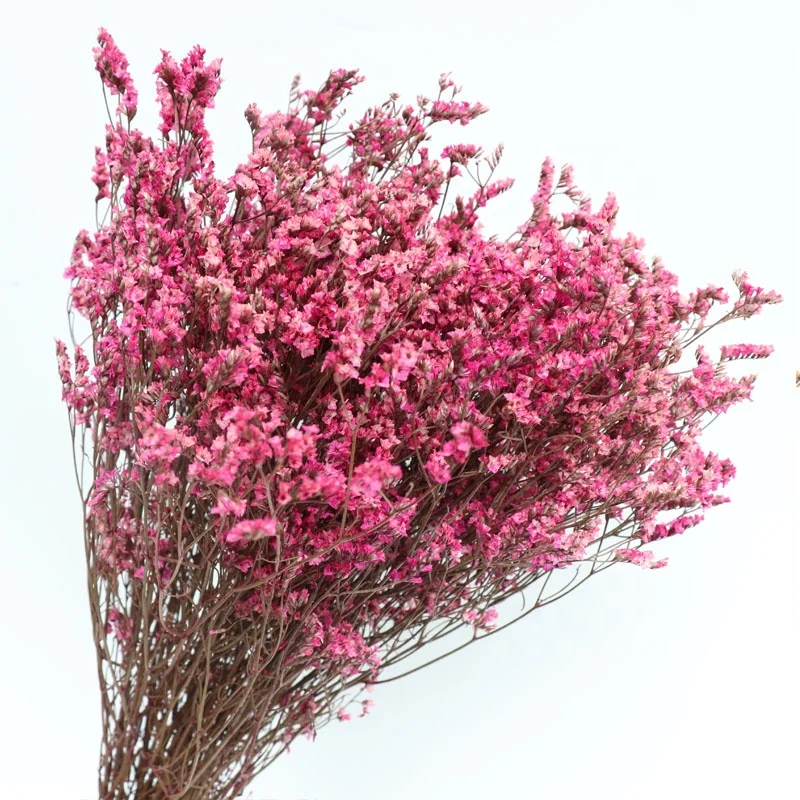 Распродажа 2022, настоящий Натуральный Свежий Материал, консервированный цветок Caspea на ощупь для домашнего декора, цветок для свадебной композиции