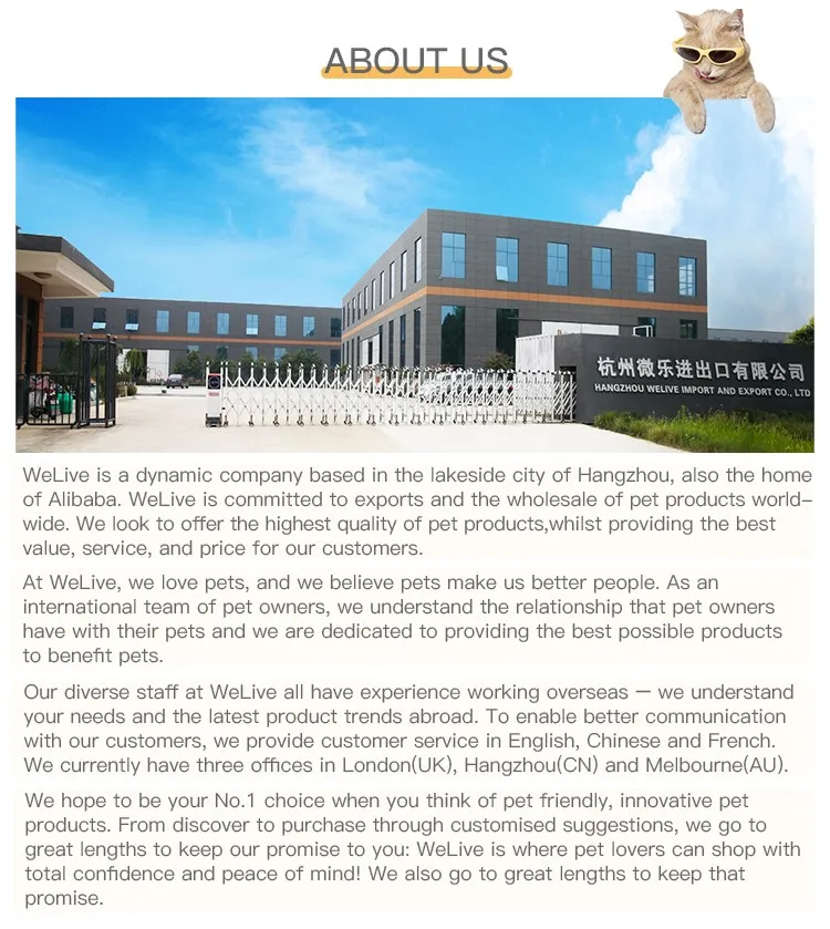company info final 211217