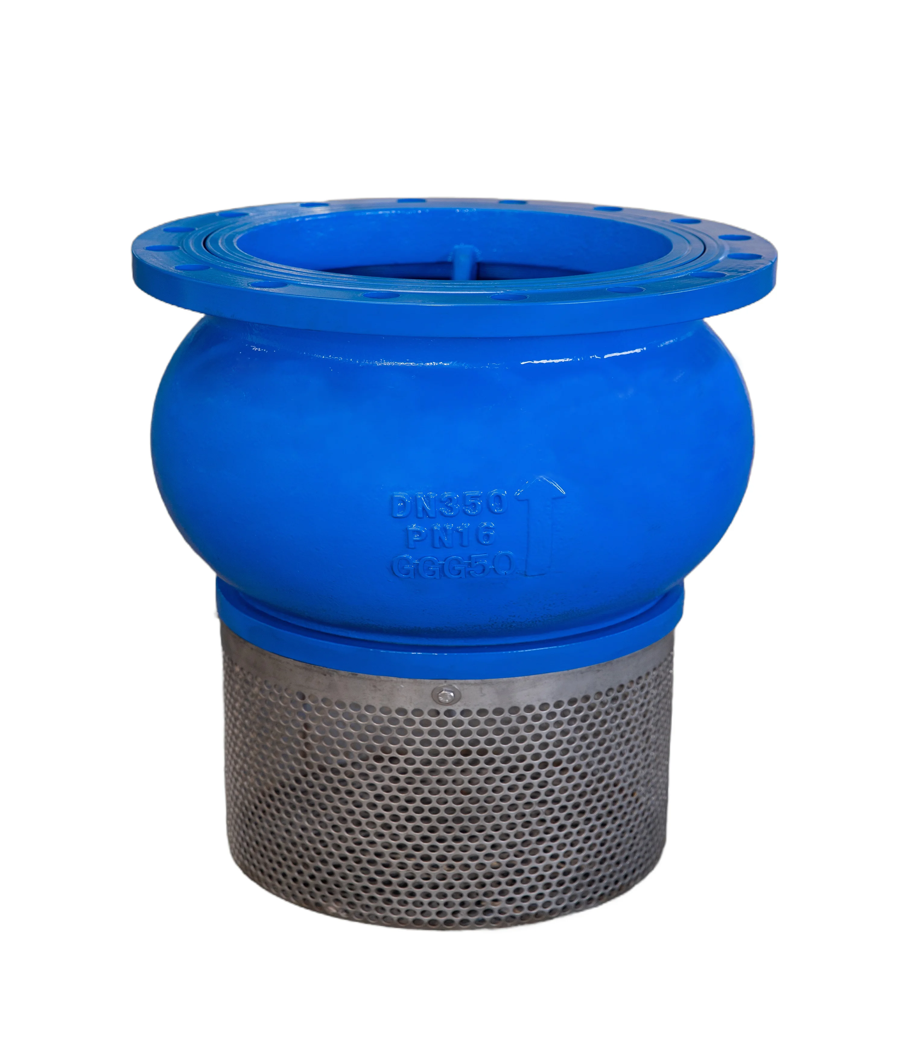 DIN PN10/16 Foot Valve Cast Iron&Ductile Iron Body&Screen