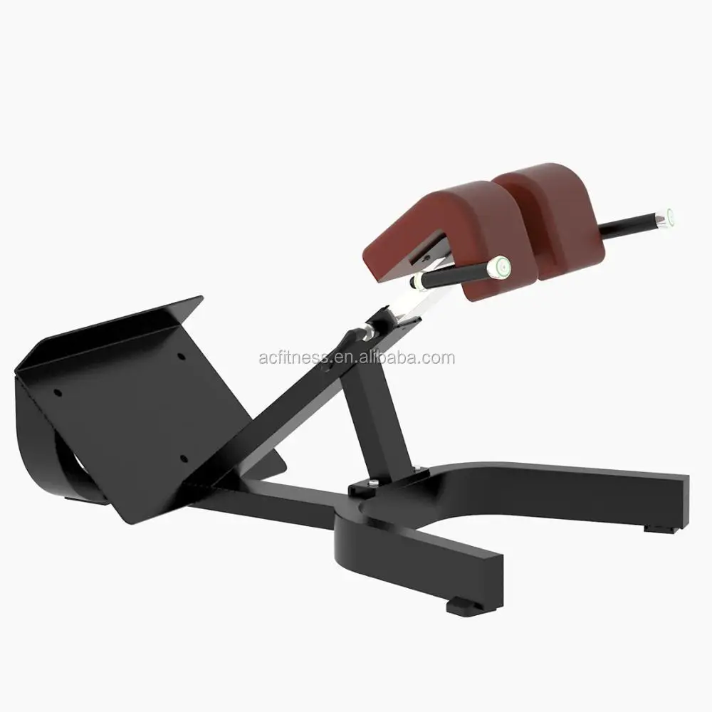 Hot sale Commercial strength machine fitness gym equipment Back Extension for gym center with best price in Chiha