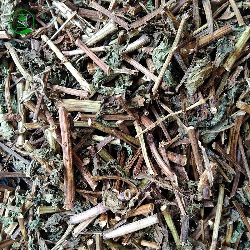 peppermint leaves selected premium grade herbal medicine peppermint branches mint leaves