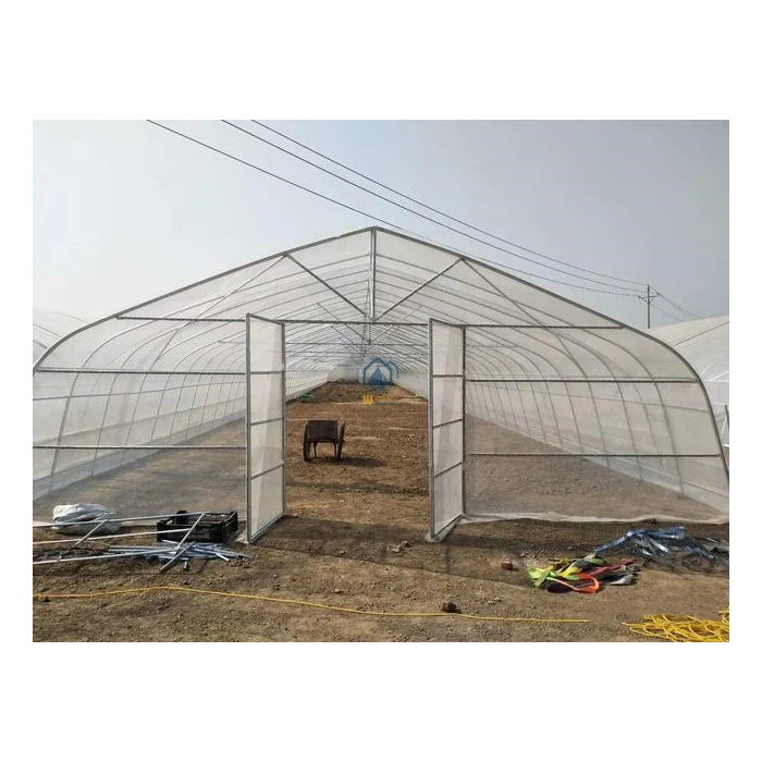 Low cost agricultural greenhouse tomato hydroponic greenhouse Large Size High Tunnel Agricultural Greenhouse for Tomato
