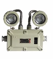 IP66 Two Spot Explosion-proof LED Emergency Lamp Led Double-head Exit Light Explosion-proof EXIT Light