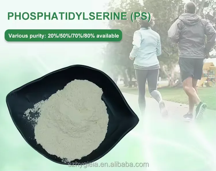 Wholesale Sunflower Seed Source Soybean Extract PS Supplement CAS 51446-62-9 Phosphatidylserine Powder