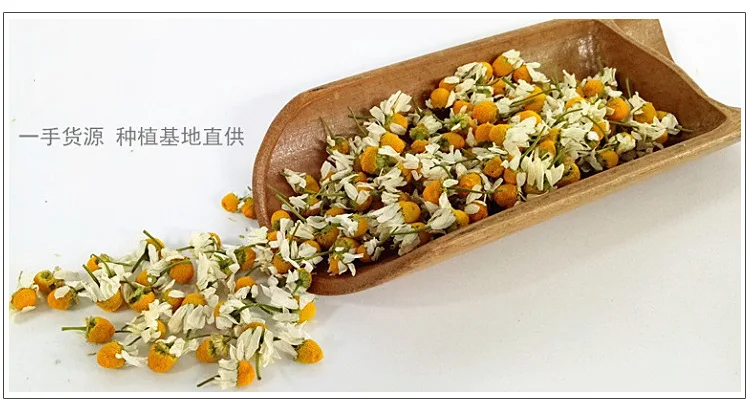 Hot Selling High natural organic fetal chrysanthemum camomile flower tea