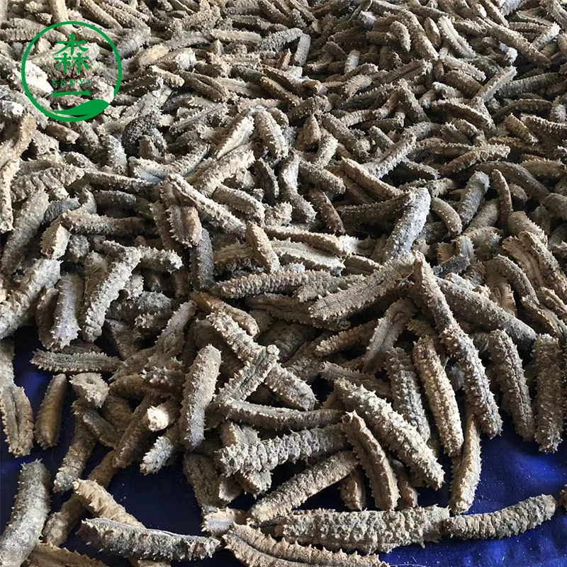 March Expo Promotion Top Seafoods in Wholesale Price 100% Natural Organic Dry Sea Cucumber