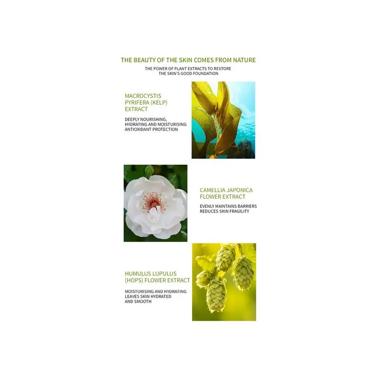 Factory Direct Supply reasonable price Efficient whitening antioxidant essence Moisturizing Serums for Adults