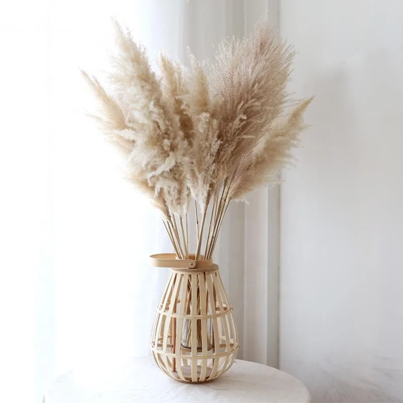 Amazon Hot Selling DriedNatural Flowers 120cm Long Beige Brown Large Pampas Grass for Wedding Home Decoration