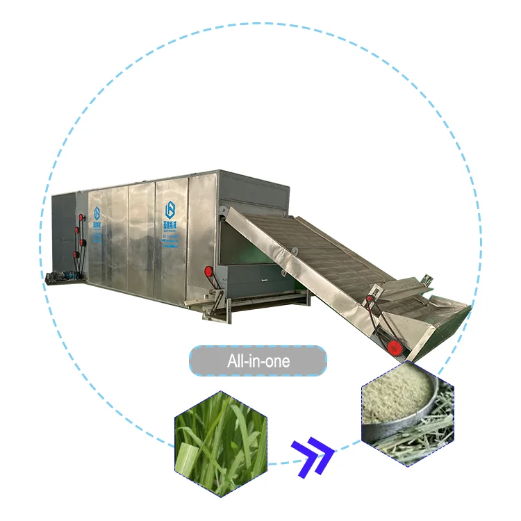 Olive Leaves Plantain Continuous Industrial Tunnel Drying Machine Onion Mushroom Mesh Belt Lemongrass Dryer Equipment
