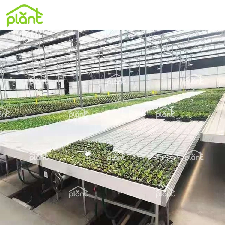 USA Canada Medical Herb Seedbed Hydroponic Rolling Benches Flood Table Grow Trays Rolling Bench