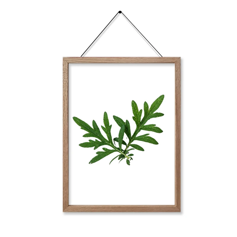 Wall Wood Double Acrylic Float Herbarium Picture Frame With Dried Flowers Display Wooden Floating Frame