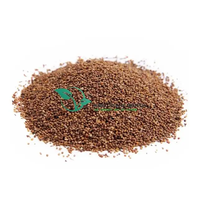 Cuscuta chinensis  / Dodder Seed / cuscutae seed extract