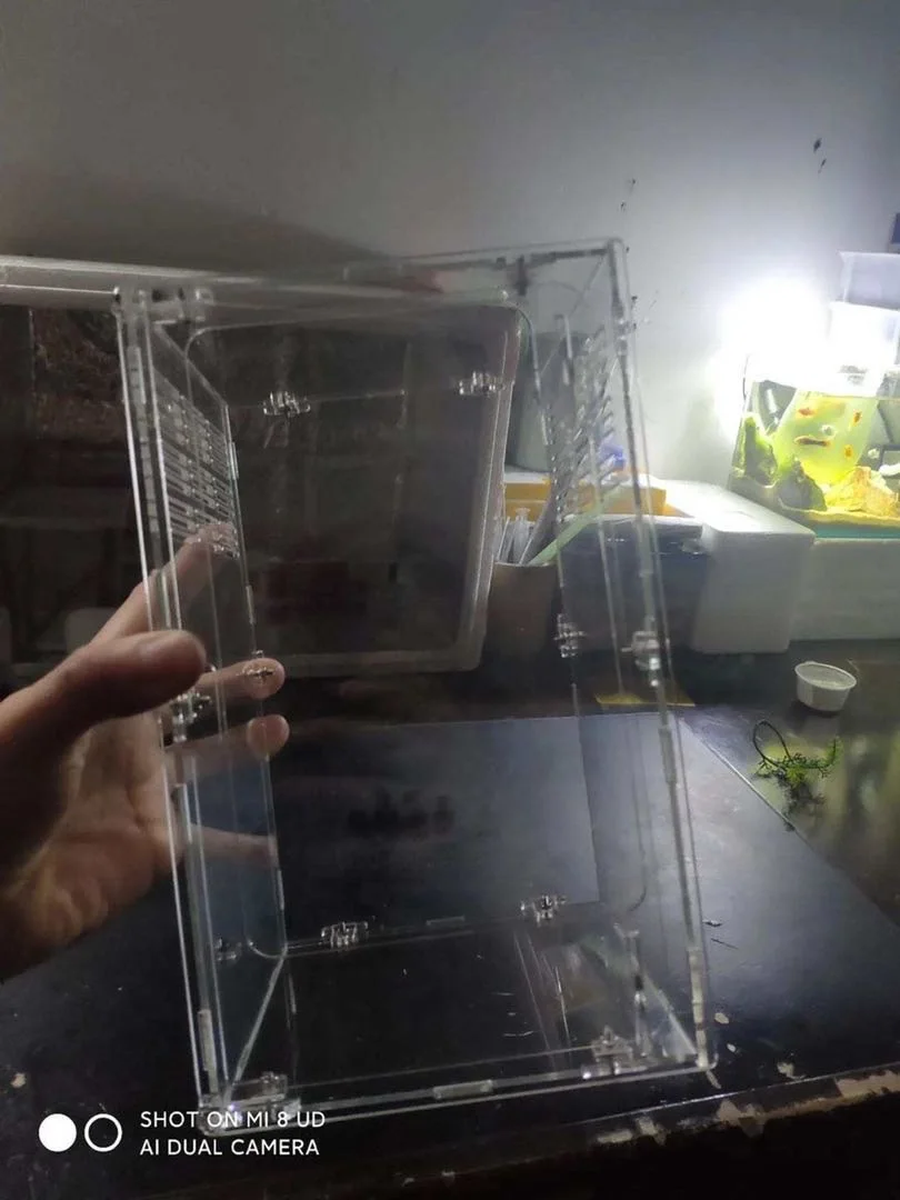 2020 New Design High Quality Paste Acrylic Mantis Cage Breathable Leisure Reptiles Cage