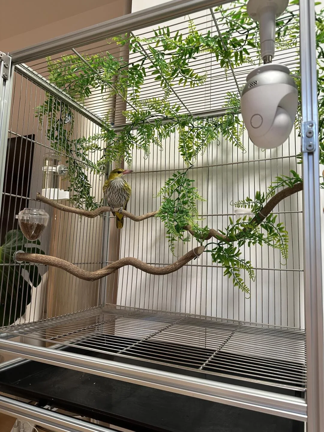 Factory Direct Wholesale Bird Cage Parrot Cage Home Use Cage Large Bird Villa Home Use
