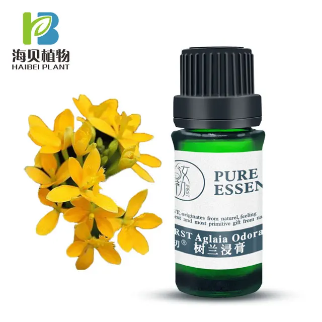 
Natural plant extract Aglaia odorata concrete 