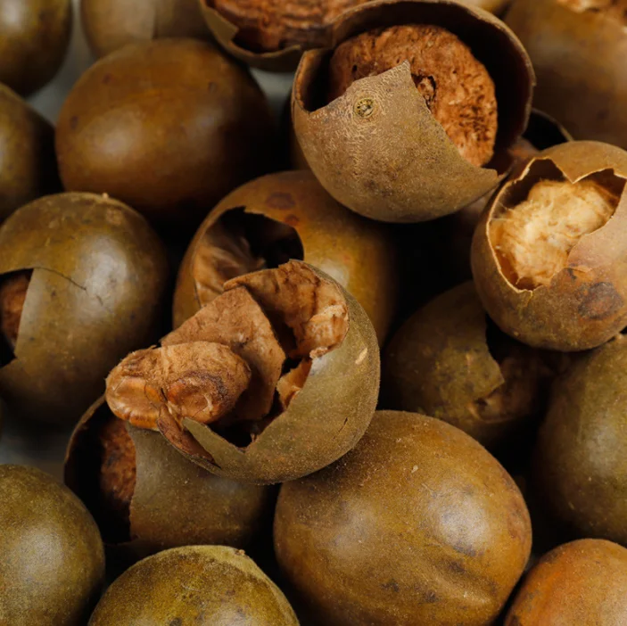 Factory Wholesale Price Dried Big Monk Fruit Dry Luo Han Guo Origin of Monk fruit supply