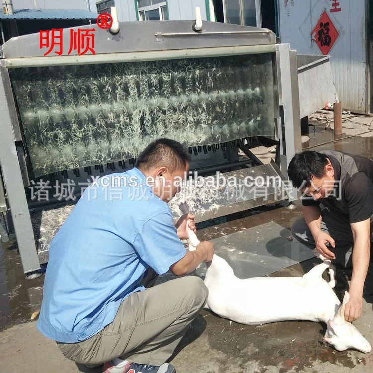 2022 hot sale sheep goat  lamp pig scalding dehair machine for small scale sheep slaughter house