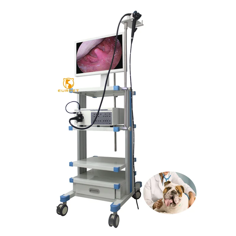 EUR PET Best Selling Veterinary Instrument Prime Veterinary Flexible Endoscope Diagnosis Gastroscope For Vet