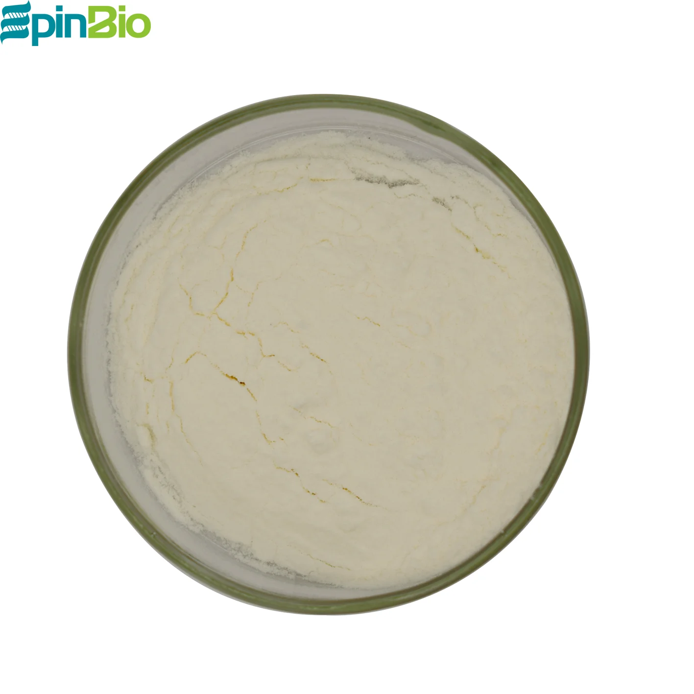 100% Natural Apple Extract 5% apple cider vinegar powder halal