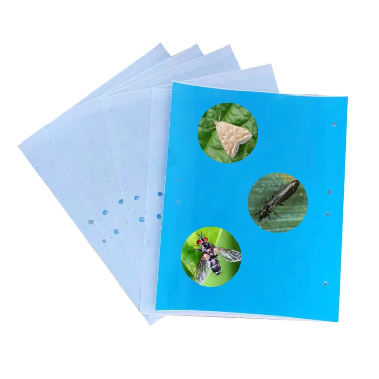 Insect Moth Thrips Pest Sticky Trap Glue For Greenhouse/Orchard/Vegetable Garden