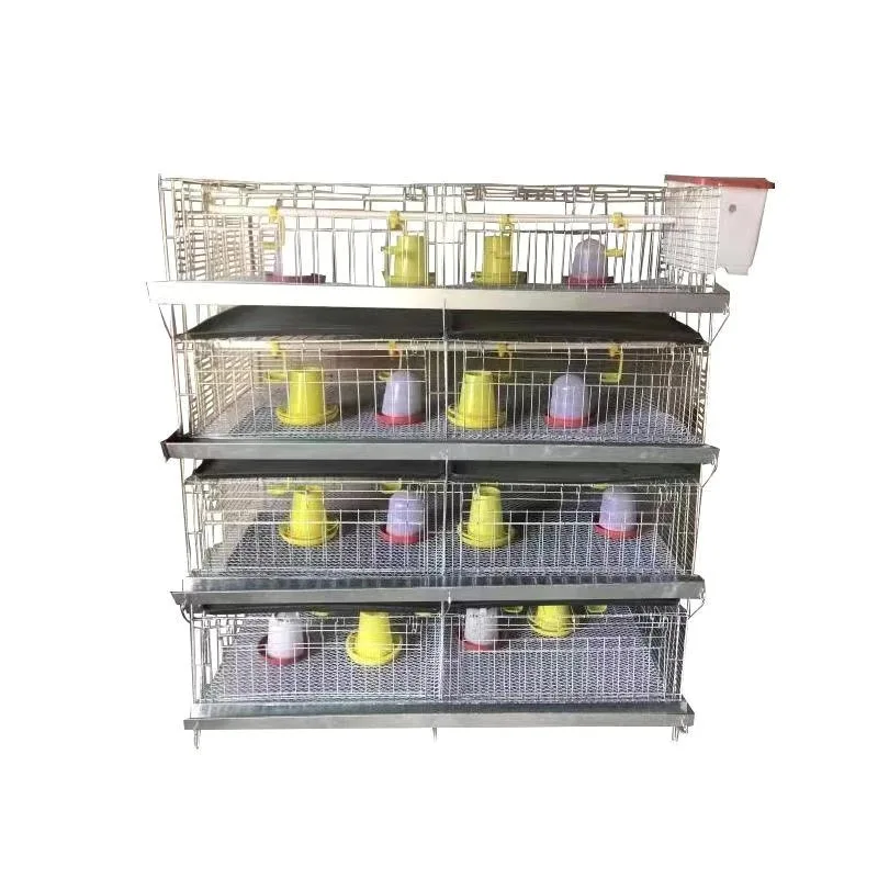 Automatic Galvanized Farm Equipment Livestock Poultry Broiler Chicken Battery Laying Cage with Manure System