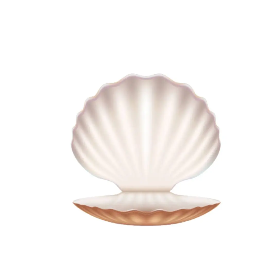 HOT HOT !!! EXPORT SEASHELL WITH THE COMPETITIVE PRICE AND HIGH EXPORT STANDARD FOR ANIMAL FEED FROM VIETNAM 2023 [GOOD CHOICE]