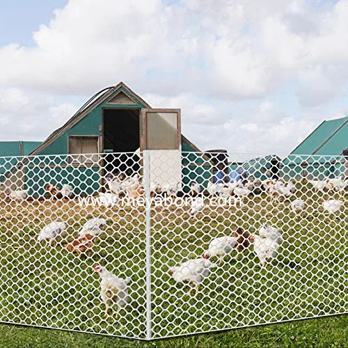 High Strength Plastic Plain net Poultry Farming Fence Poultry Netting