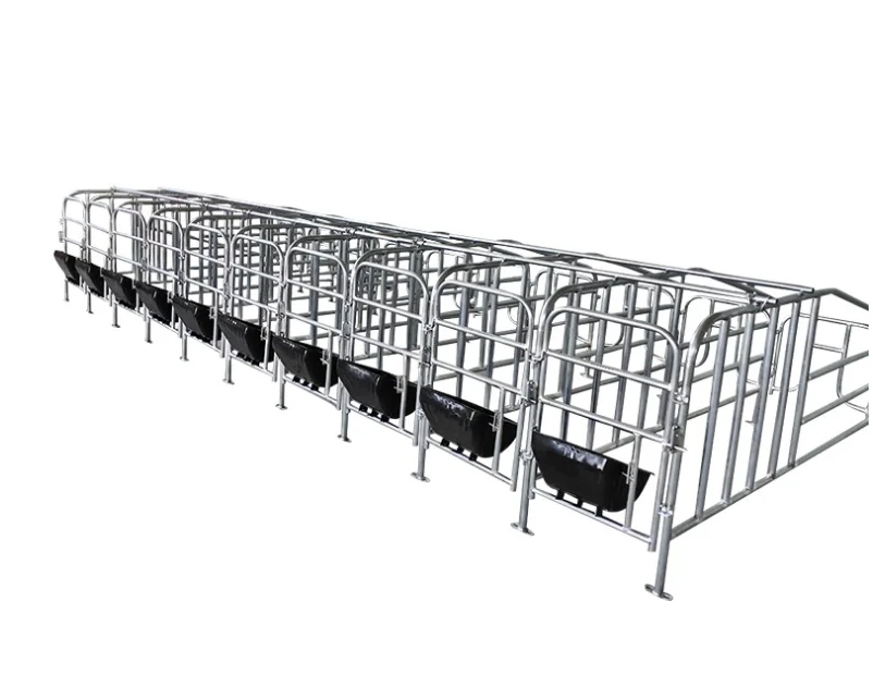 sow stall galvanized pig box swine gestation crates
