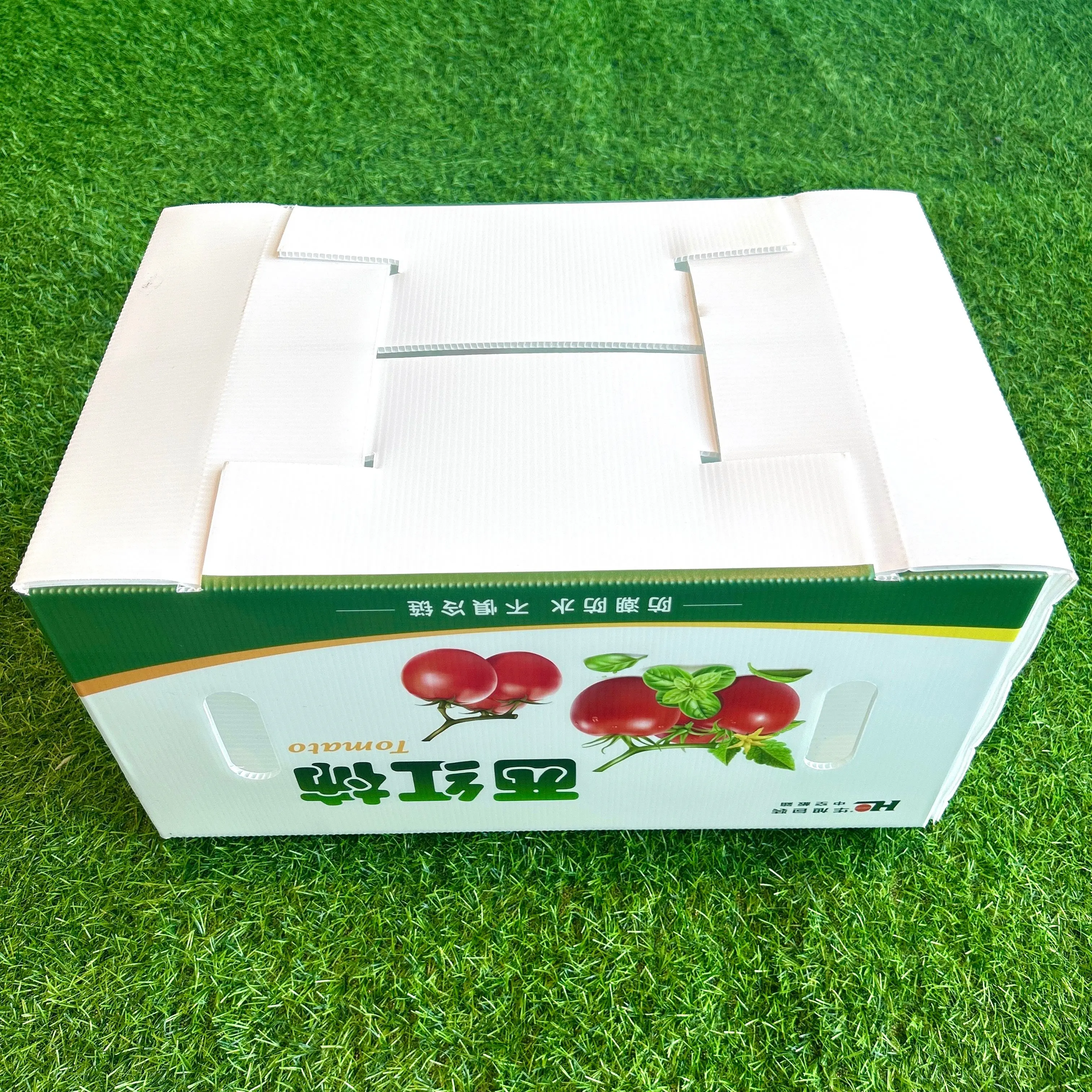 Fresh vegetables PP packing corrugated plastic box tomato  packaging box for storage